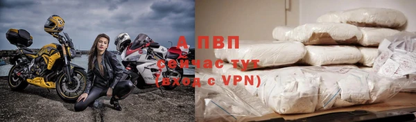 амф Богданович
