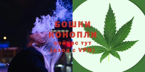 стафф Богородск