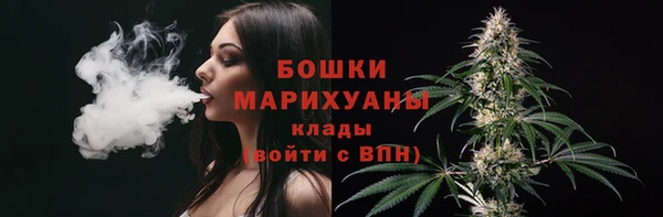 амф Богданович