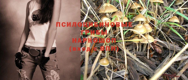 амф Богданович