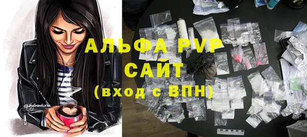 шишки Белоозёрский