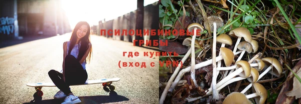 стафф Богородск