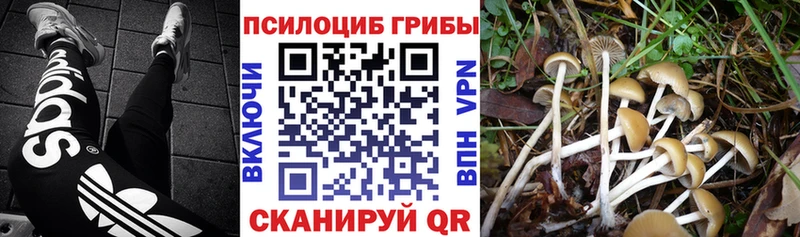 как найти закладки  Малоярославец  Галлюциногенные грибы ЛСД 